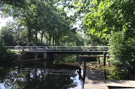 Foto Bosbrug