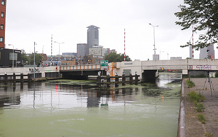 Foto Trekvlietbrug, Den Haag