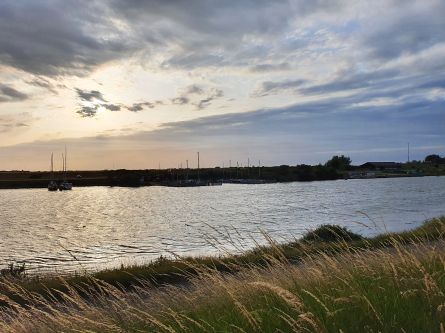 Foto W.S.V. Bommenee